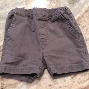 Wheat brand gray shorts